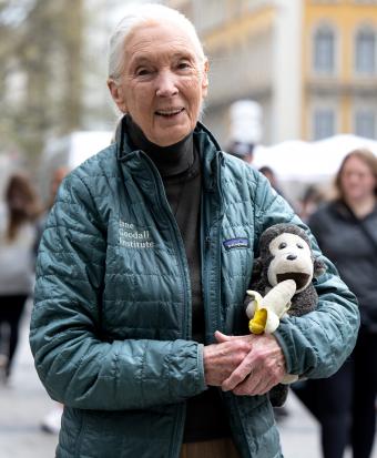 Jane Goodall | Getty Editorial