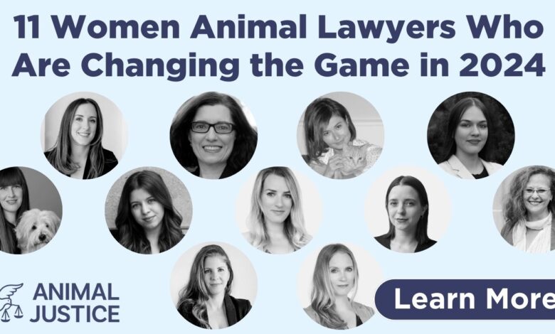 women animal rights lawyers.jpg